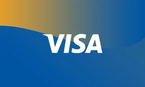 Visa Card 100$ US
